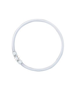 Bild von TL5 Circular 40W/830 weiss 16mm ab Woche 11 lieferbar